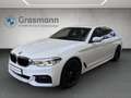 BMW 530 530d xDrive Weiß - thumbnail 1