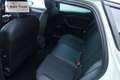 CUPRA Leon 1.5 e-TSI DSG 150 PS Facelift 18" Windstorm Kam... Grau - thumbnail 15