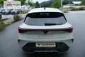 CUPRA Leon 1.5 e-TSI DSG 150 PS Facelift 18" Windstorm Kam... Grau - thumbnail 4