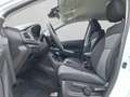 Suzuki S-Cross S-CROSS 1.5 COMFORT HYBRID AGS+KAMERA+LED+ Blanco - thumbnail 9