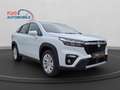 Suzuki S-Cross S-CROSS 1.5 COMFORT HYBRID AGS+KAMERA+LED+ Blanco - thumbnail 7