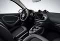 smart forFour EQ forfour PASSION+Cool&Audio+Tempo+Klima+DAB Rot - thumbnail 7