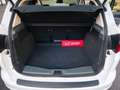 Ford C-Max C-MAX Titanium Eco Boost Zahnriemen neu Weiß - thumbnail 7