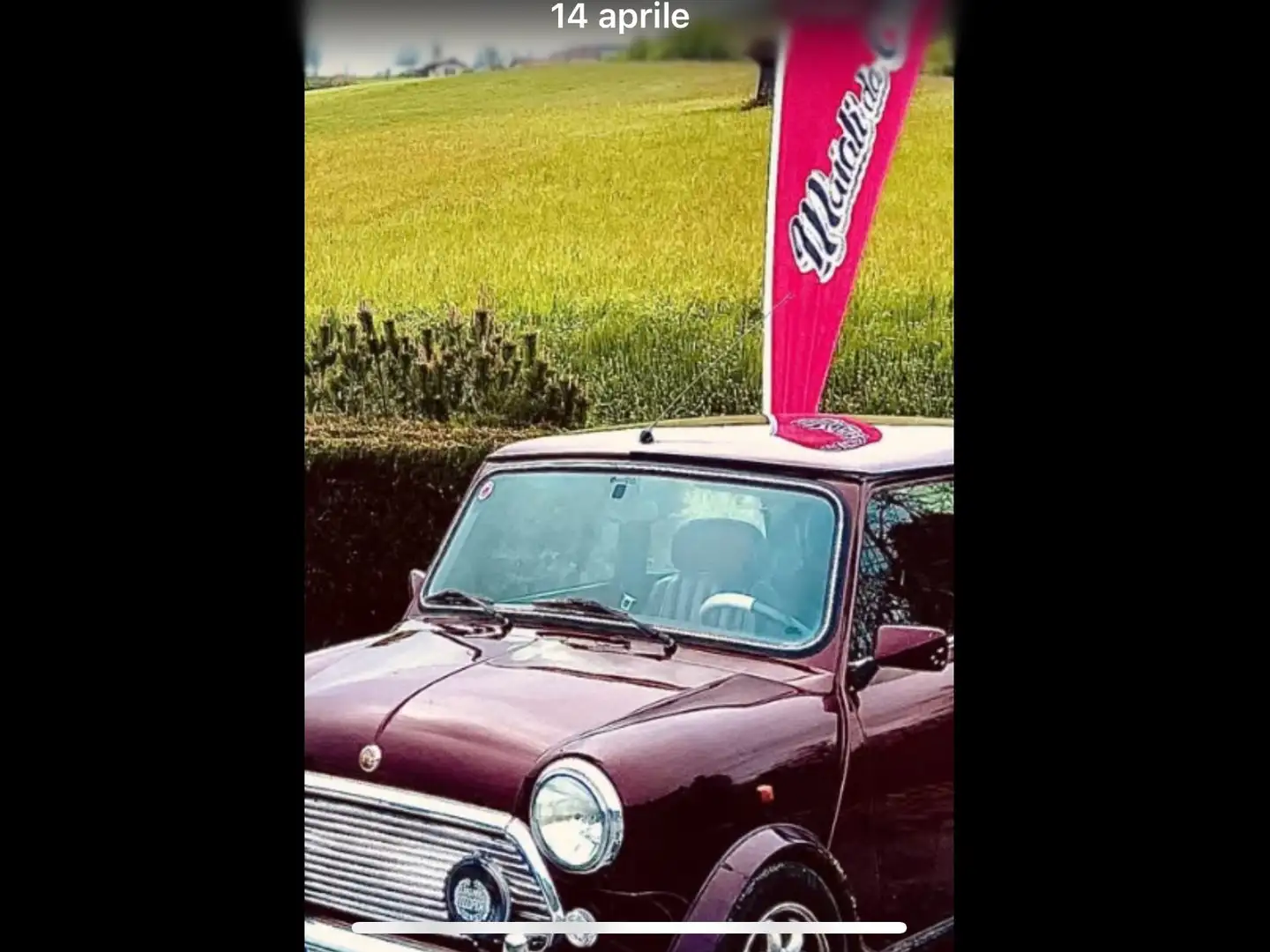 MINI 1300 40 anniversario Marrón - 2