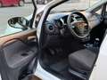 Fiat Punto Evo 5p 1.4 Blue&Me s&s 77cv Bianco - thumbnail 9