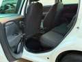 Fiat Punto Evo 5p 1.4 Blue&Me s&s 77cv Bianco - thumbnail 12