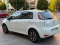 Fiat Punto Evo 5p 1.4 Blue&Me s&s 77cv Bianco - thumbnail 7