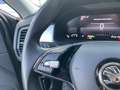 Skoda Kodiaq 2.0 TDI EVO SCR 4x4 DSG 7 posti Style Gris - thumbnail 12