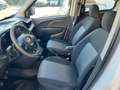 Fiat Doblo Fiat Doblo Doblo' 1.3 MJT PC Combi N1 Blanc - thumbnail 8