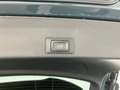 CUPRA Terramar ALPHA 1.5 e-TSI 150 PS DSG Blau - thumbnail 13