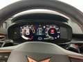 CUPRA Terramar ALPHA 1.5 e-TSI 150 PS DSG Blau - thumbnail 18