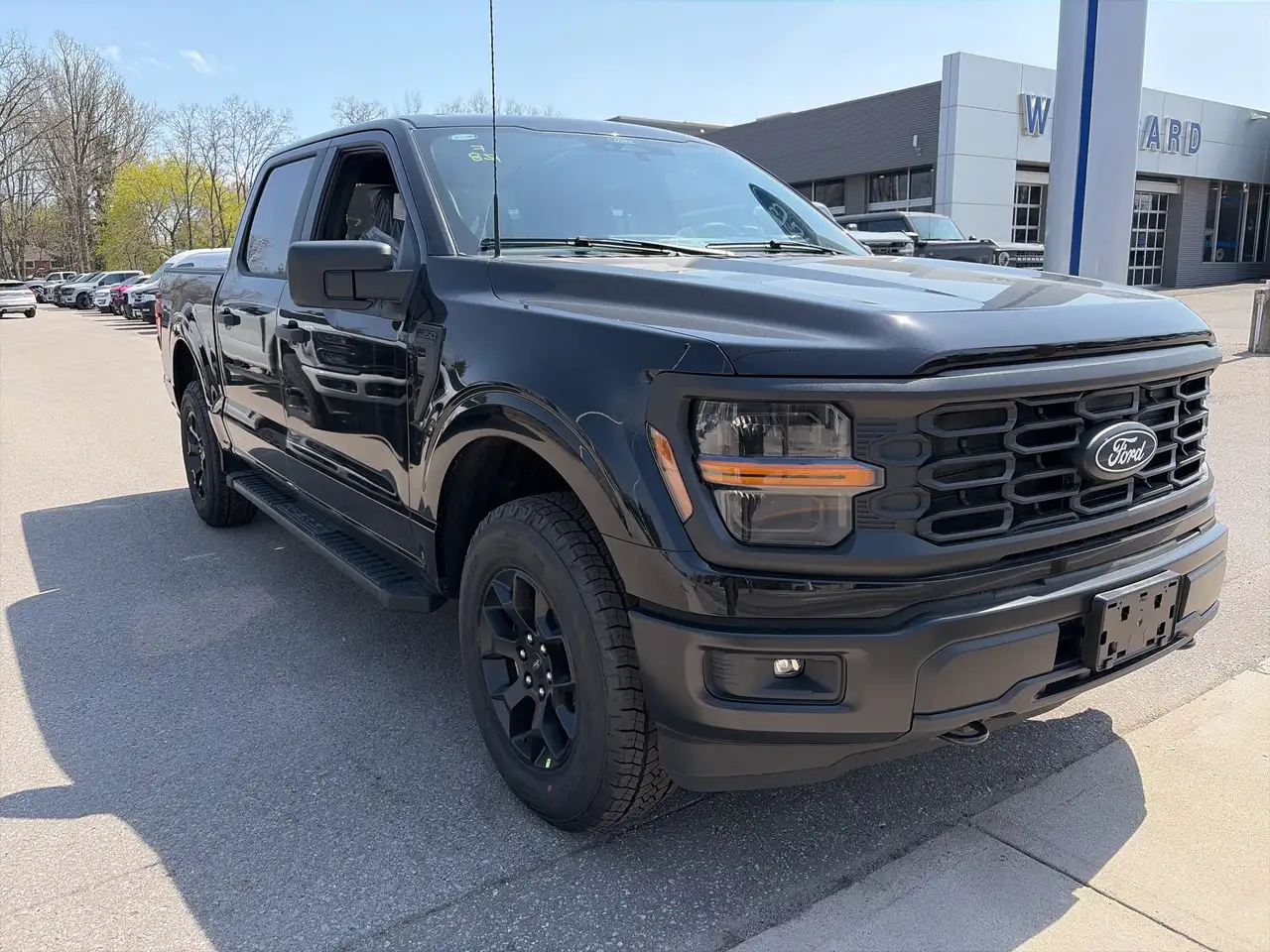 Ford F 150 снимка Ford F 150