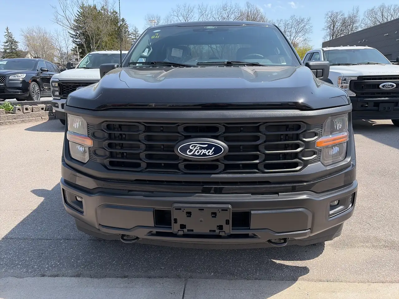 Ford F 150 снимка Ford F 150