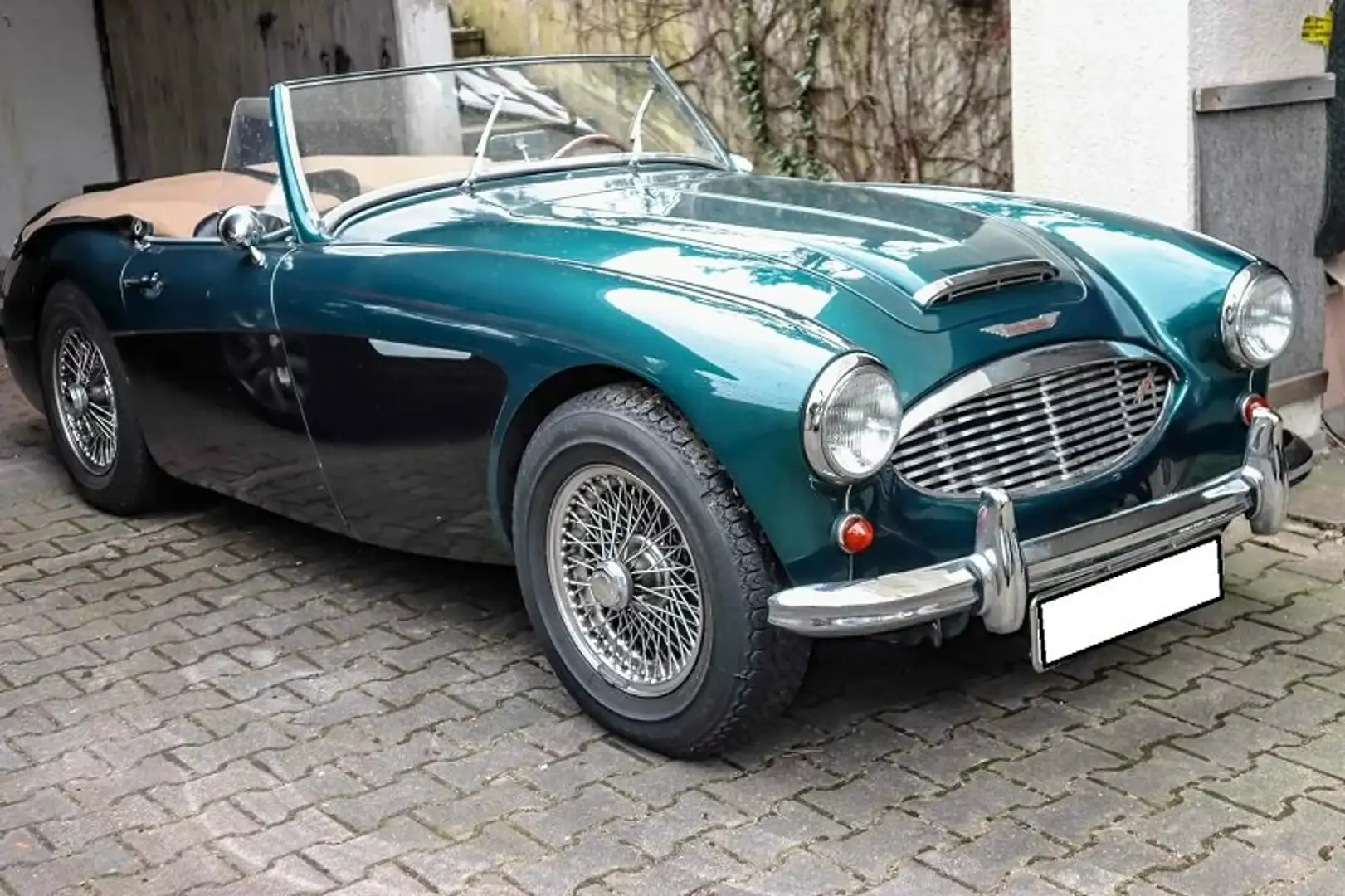 Austin Healey Austin-Healey 100/6BN4 Vert - 1