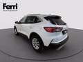 Ford Kuga 2.0 ecoblue Titanium X 2wd 120cv auto Bianco - thumbnail 10
