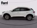 Ford Kuga 2.0 ecoblue Titanium X 2wd 120cv auto Bianco - thumbnail 3