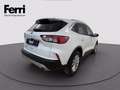 Ford Kuga 2.0 ecoblue Titanium X 2wd 120cv auto Bianco - thumbnail 4