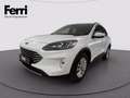 Ford Kuga 2.0 ecoblue Titanium X 2wd 120cv auto Bianco - thumbnail 1