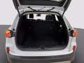 Ford Kuga 2.0 ecoblue Titanium X 2wd 120cv auto Bianco - thumbnail 9