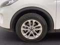 Ford Kuga 2.0 ecoblue Titanium X 2wd 120cv auto Bianco - thumbnail 15