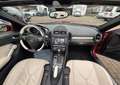 Mercedes-Benz SLK 350 ASI-ROSSO AMBRA-BOOK SERVICE-SENSORI-XENO Rouge - thumbnail 4