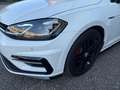 Volkswagen Golf Golf VII 2017 5p 5p 1.6 tdi R-LINE 115cv Blanc - thumbnail 7