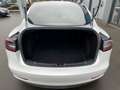 Tesla Model 3 Performance AWD inkl. 20" Winterreifen Bianco - thumbnail 25