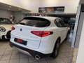 Alfa Romeo Stelvio Stelvio 2.2 Turbodiesel 150 CV AT8 RWD Super Bianco - thumbnail 14