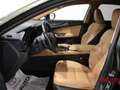 Lexus NX 350h NX Hybrid 4WD Luxury Verde - thumbnail 6
