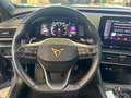 CUPRA Formentor 1.5 TSI DSG Grau - thumbnail 24