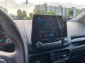 Ford EcoSport 1.0 EcoBoost 125pk ST-Line Grijs - thumbnail 24