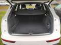 Audi Q5 45 TFSI q. S-Tronic S-Line 2x, Matrix LED, B& Weiß - thumbnail 14