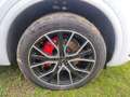 Audi Q5 45 TFSI q. S-Tronic S-Line 2x, Matrix LED, B& Weiß - thumbnail 17