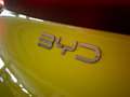 BYD Dolphin Surf Boost 175kW Verde - thumbnail 39