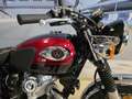 Kawasaki W 800 01/2024 - Km 1200 (35 Kw) - thumbnail 20