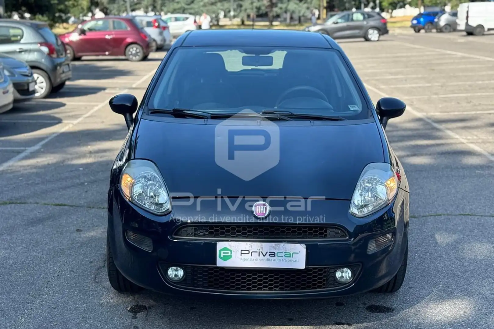 Fiat Punto Punto 1.2 8V 5 porte Young Blu/Azzurro - 2