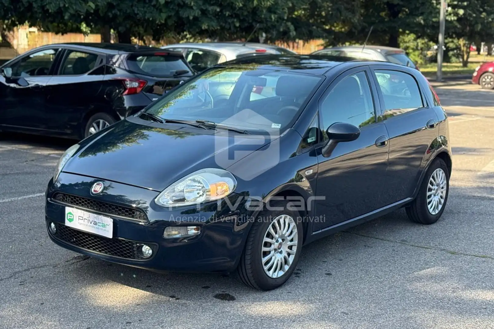 Fiat Punto Punto 1.2 8V 5 porte Young Blu/Azzurro - 1