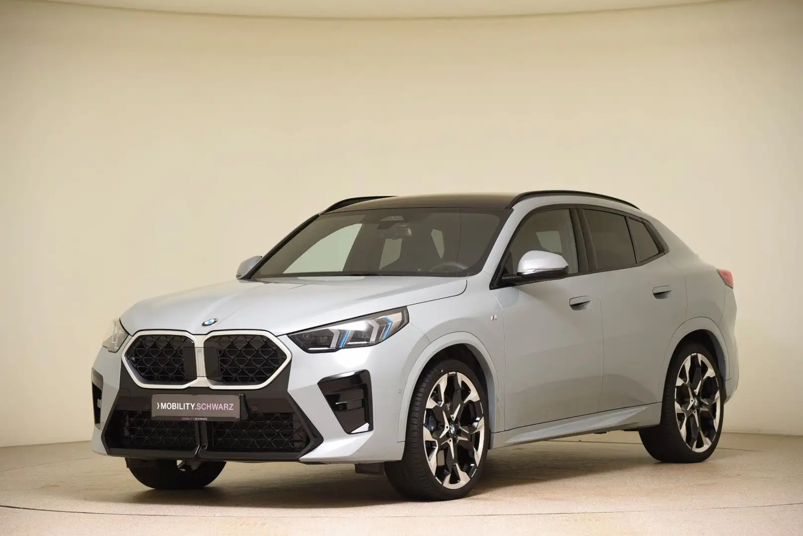 BMW X2 sDrive18d M Sport DriveAss+ AHK Pano H&K 21" Gri - 1