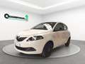 Lancia Ypsilon Ypsilon 1.0 firefly hybrid Silver s Bianco - thumbnail 1