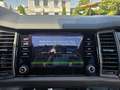 Skoda Kodiaq 2,0 TDI SCR 4x4 Style DSG Braun - thumbnail 32
