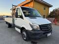 Mercedes-Benz Sprinter 519 - 3.0 CDI - 4.30m CASSONE FISSO - Blanco - thumbnail 1