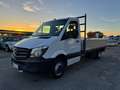 Mercedes-Benz Sprinter 519 - 3.0 CDI - 4.30m CASSONE FISSO - Blanco - thumbnail 7