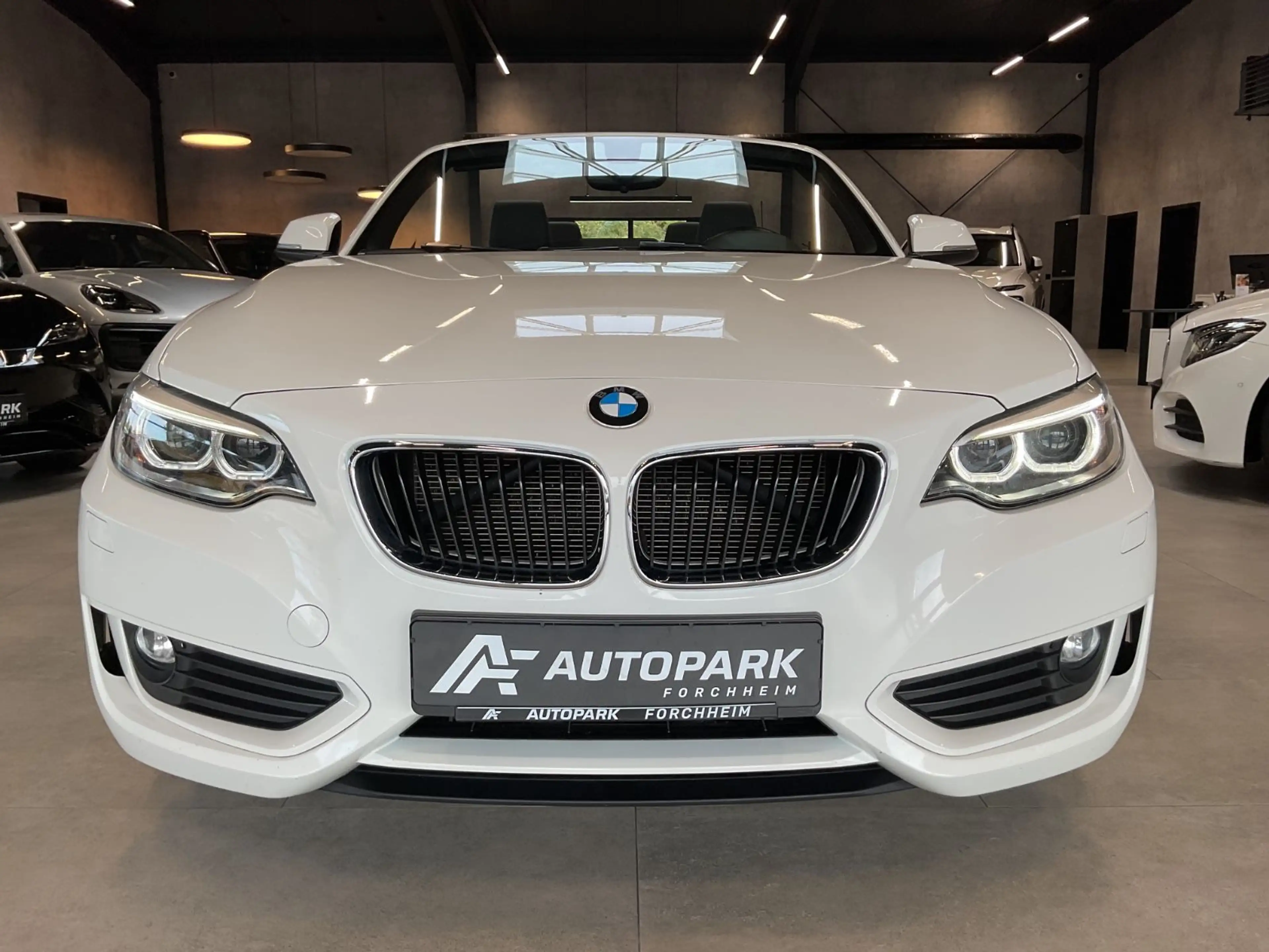 BMW 220 i Cabrio HiFi Leder Navi Sitzh. PDC Xenon — photo 2