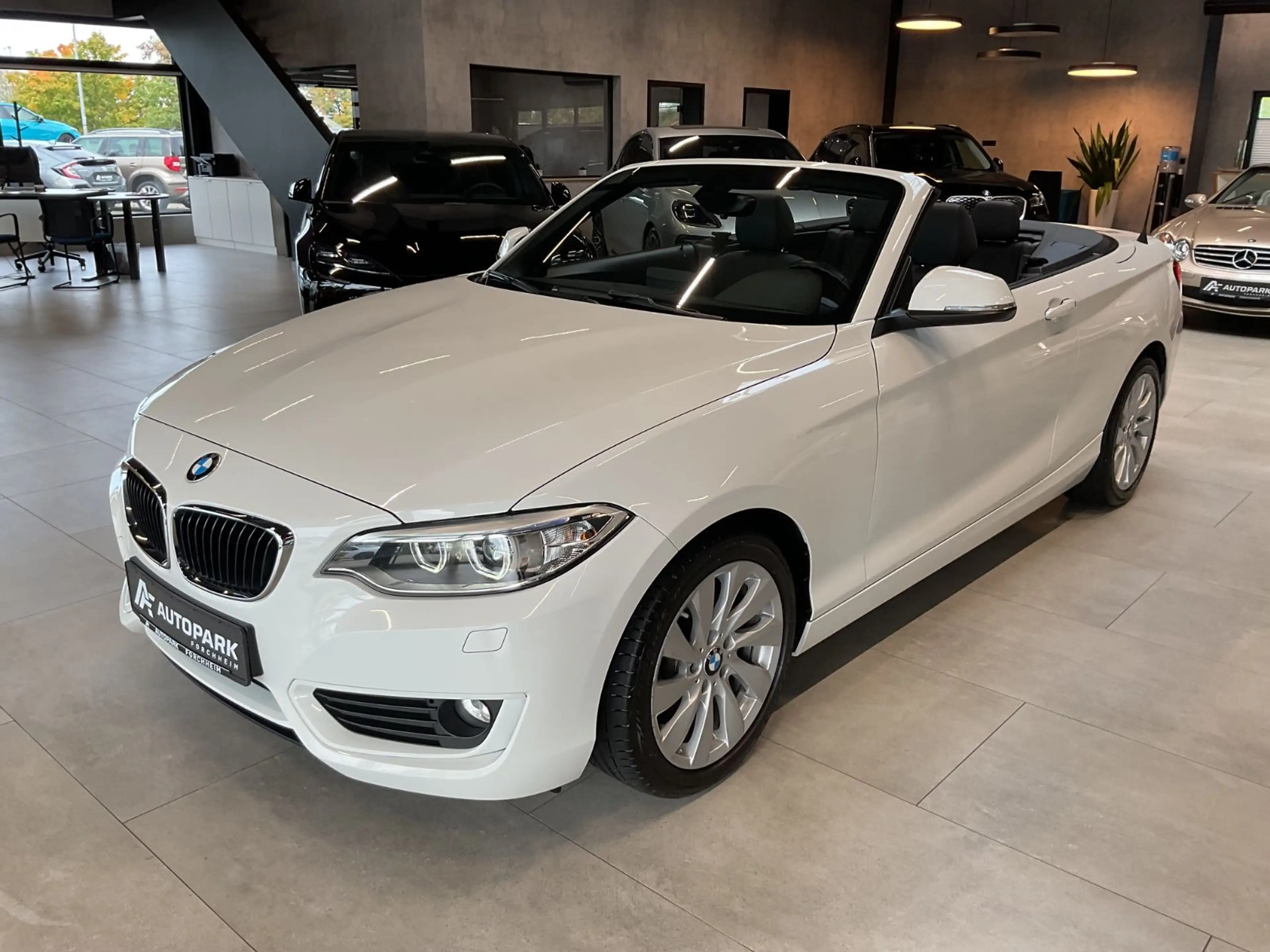 BMW 220 i Cabrio HiFi Leder Navi Sitzh. PDC Xenon