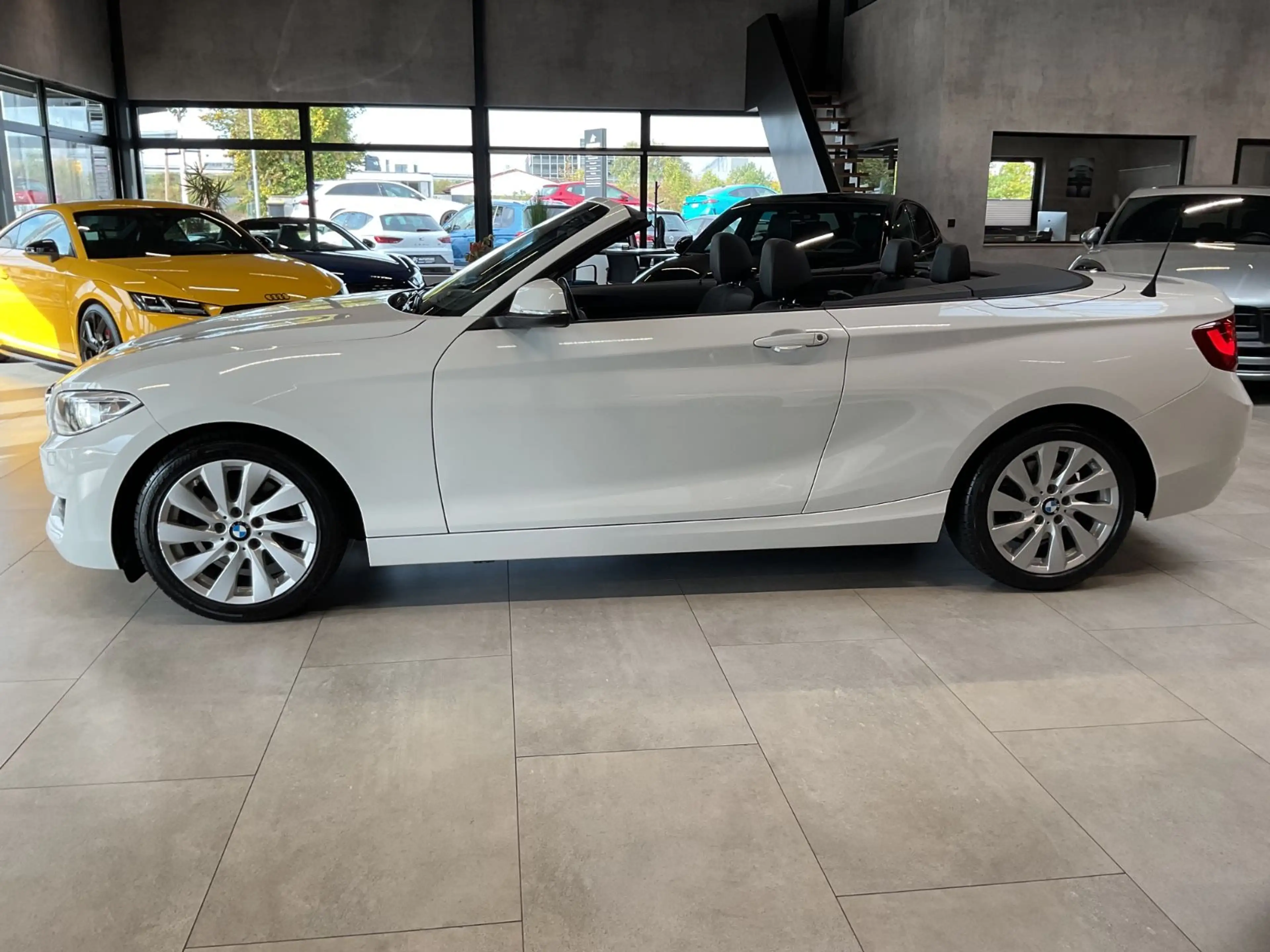 BMW 220 i Cabrio HiFi Leder Navi Sitzh. PDC Xenon — photo 15