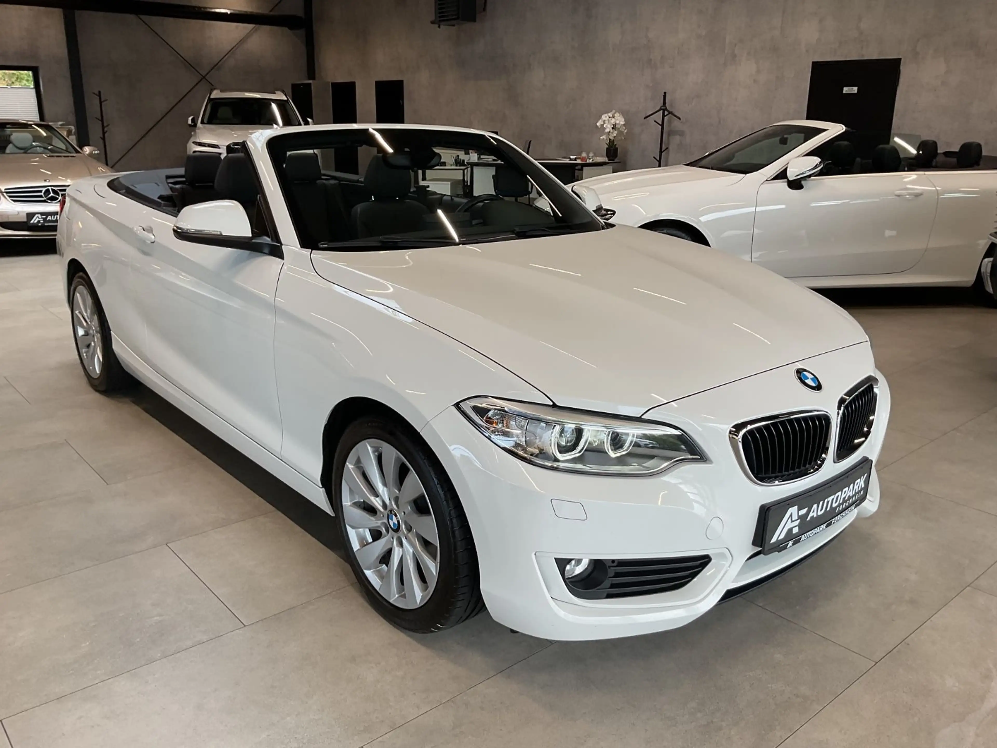 BMW 220 i Cabrio HiFi Leder Navi Sitzh. PDC Xenon — photo 3