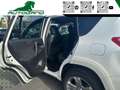 Toyota RAV 4 RAV4 Crossover 2.2 D-Cat A/T 150 CV Executive Bianco - thumbnail 14