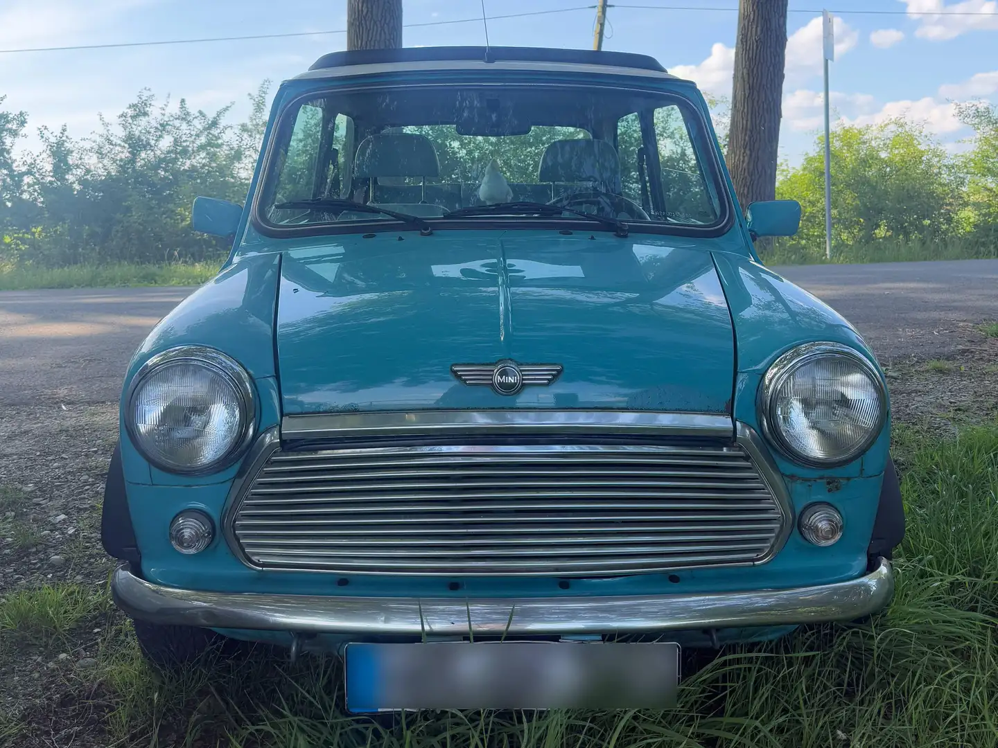 Rover Sonstige Mini Grün - 1