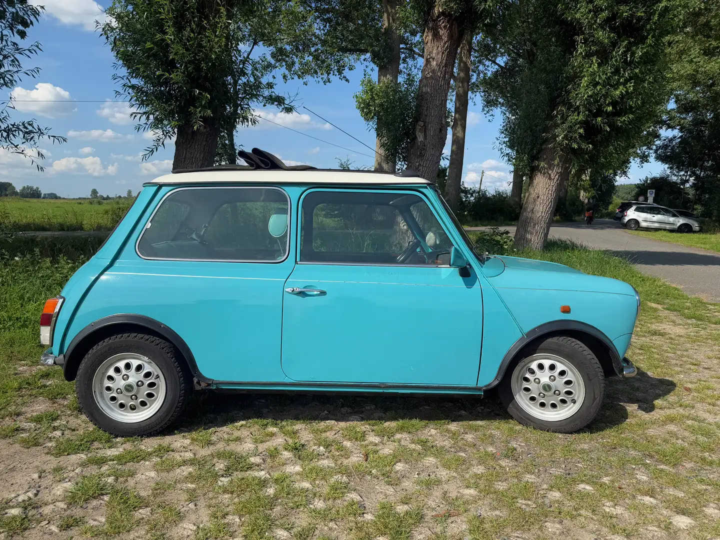 Rover Sonstige Mini Grün - 2