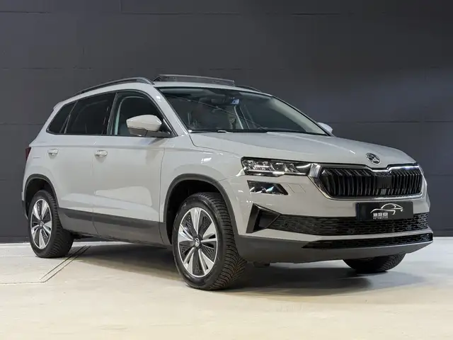Skoda Karoq view 6